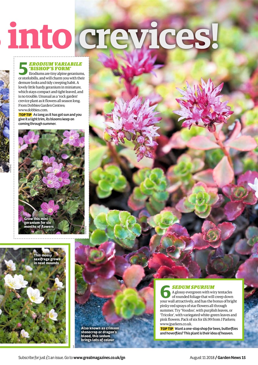 Garden News Preview Pages