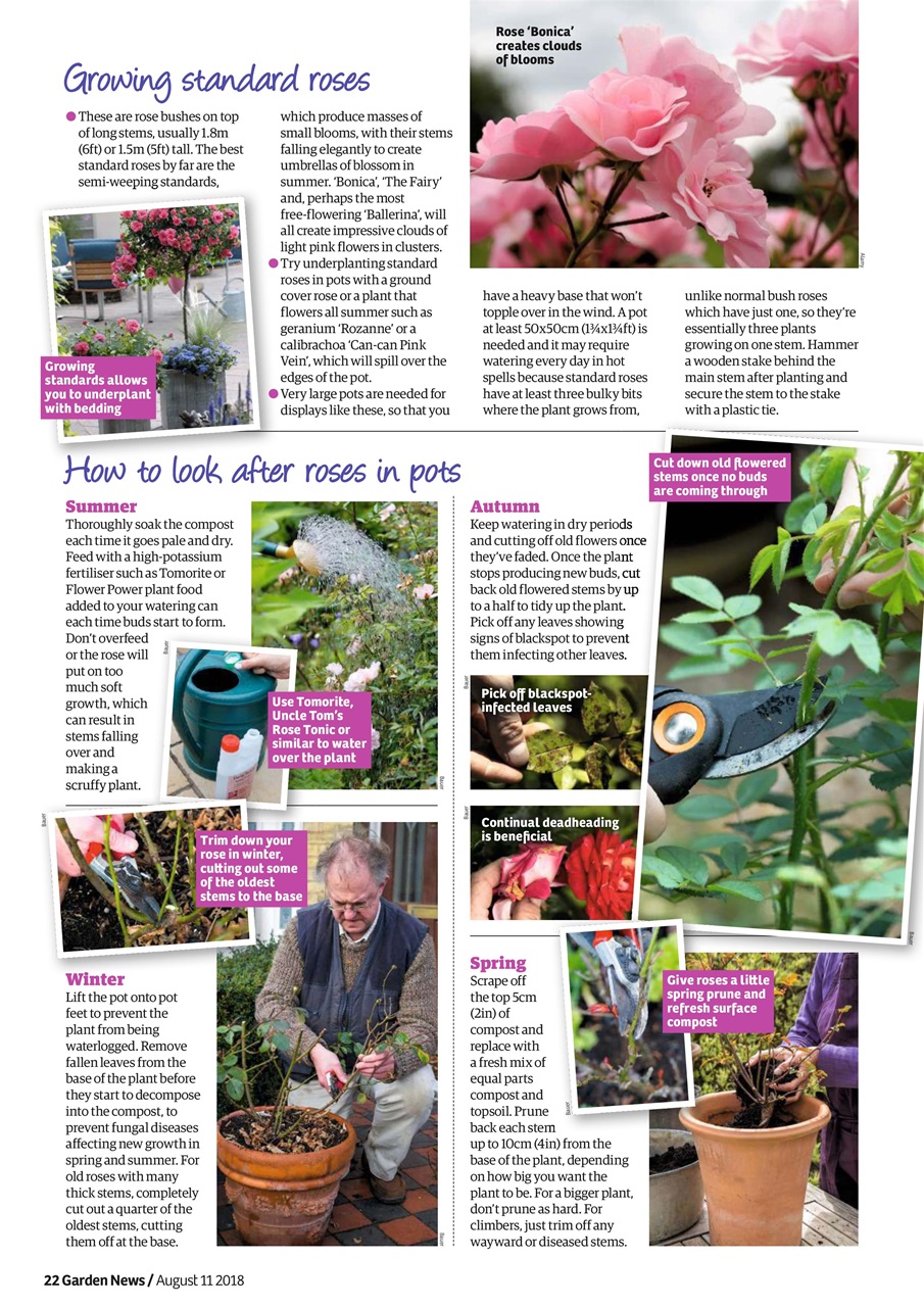 Garden News Preview Pages