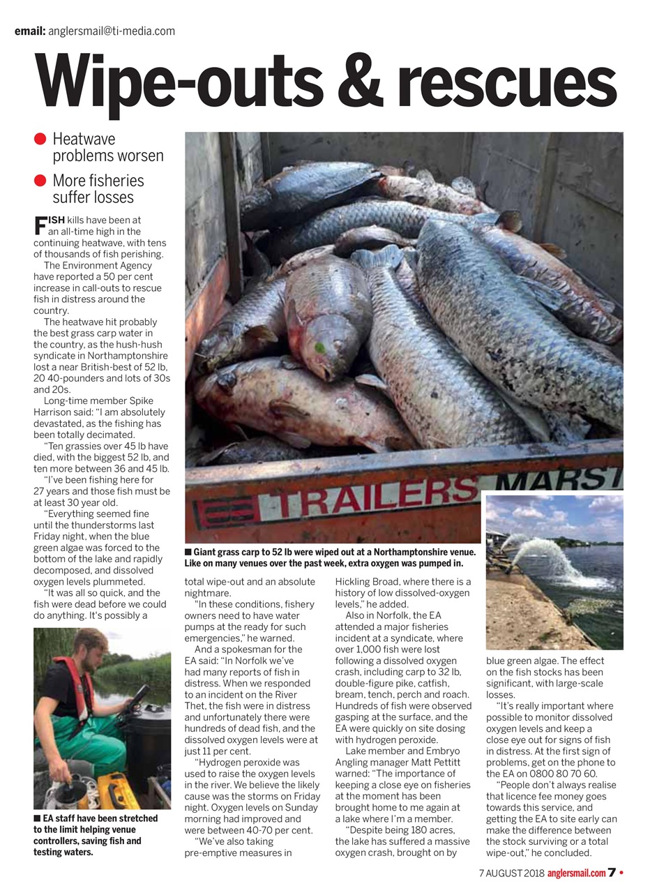 Anglers Mail Preview Pages