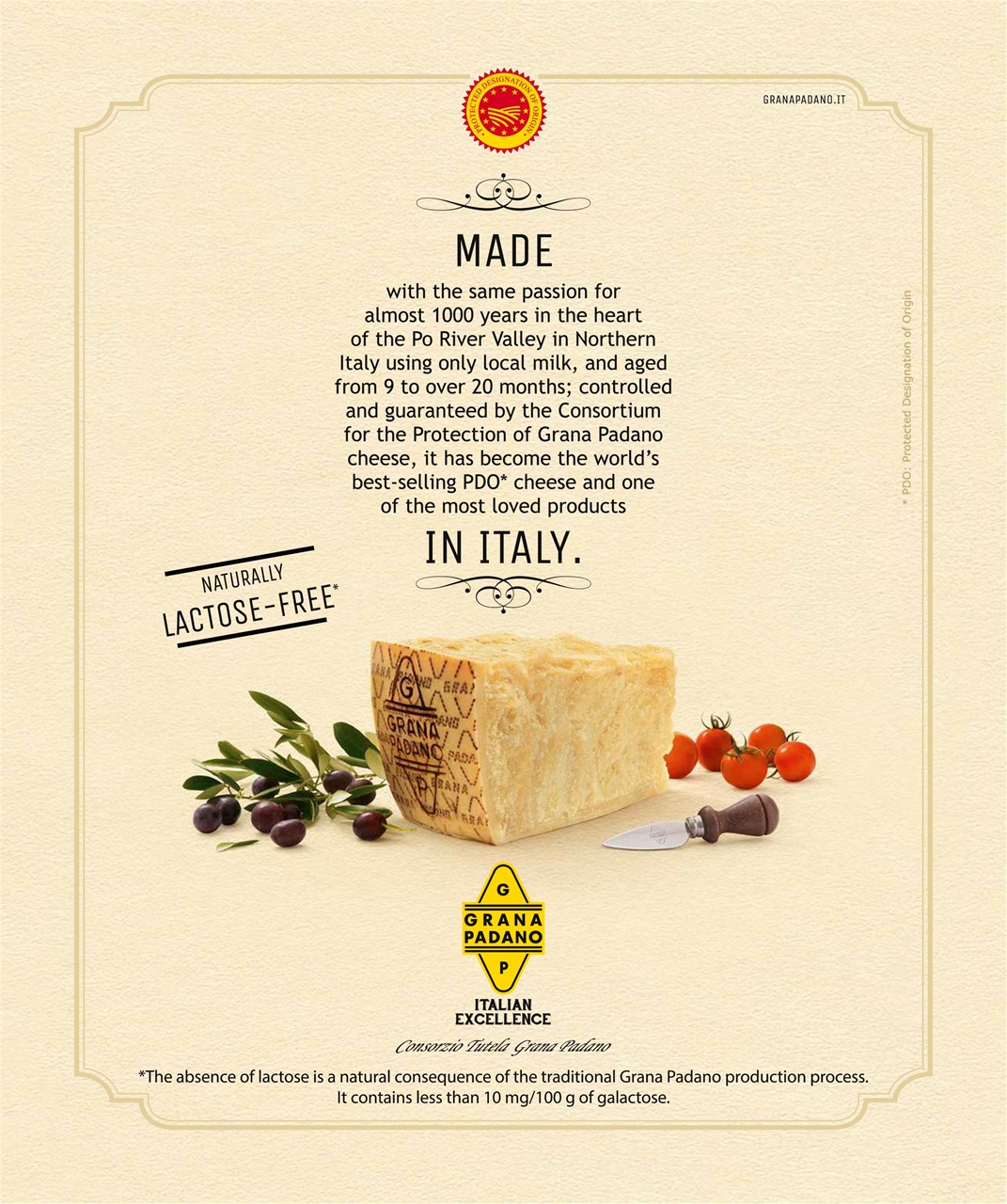 Olive Magazine Preview Pages