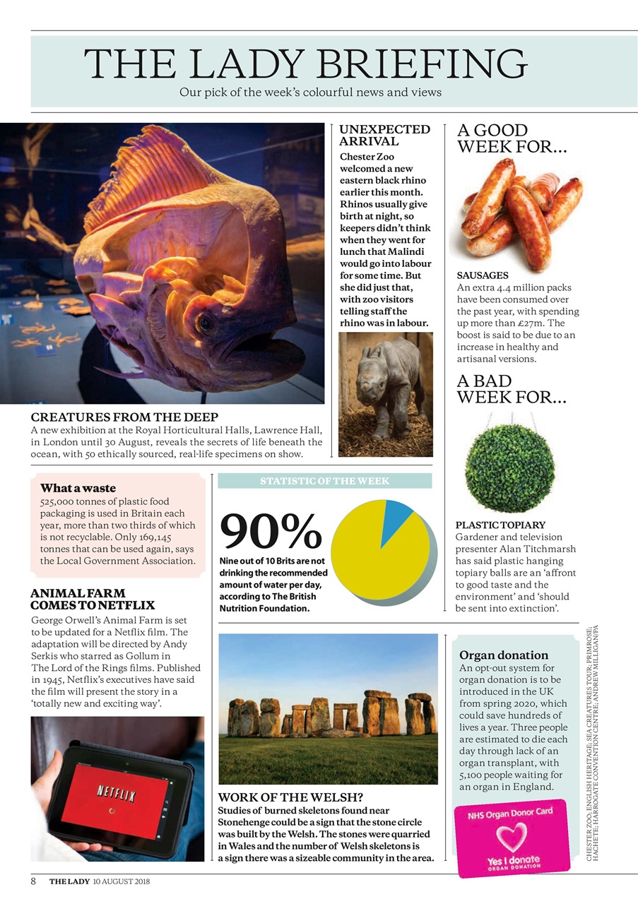 The Lady Preview Pages