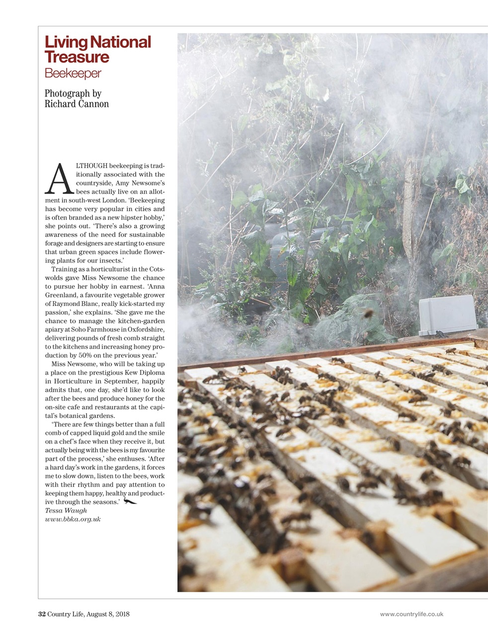 Country Life Preview Pages