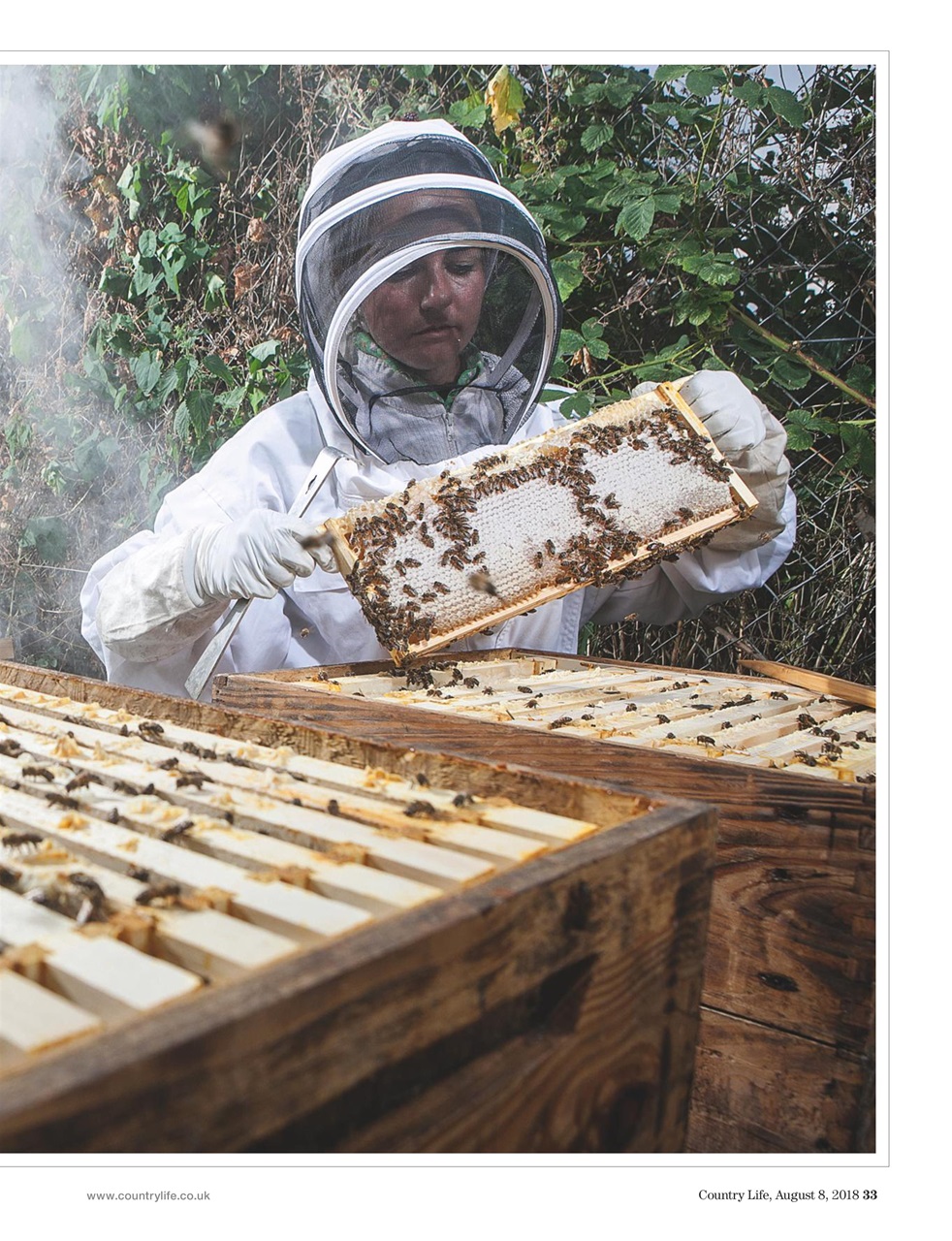 Country Life Preview Pages