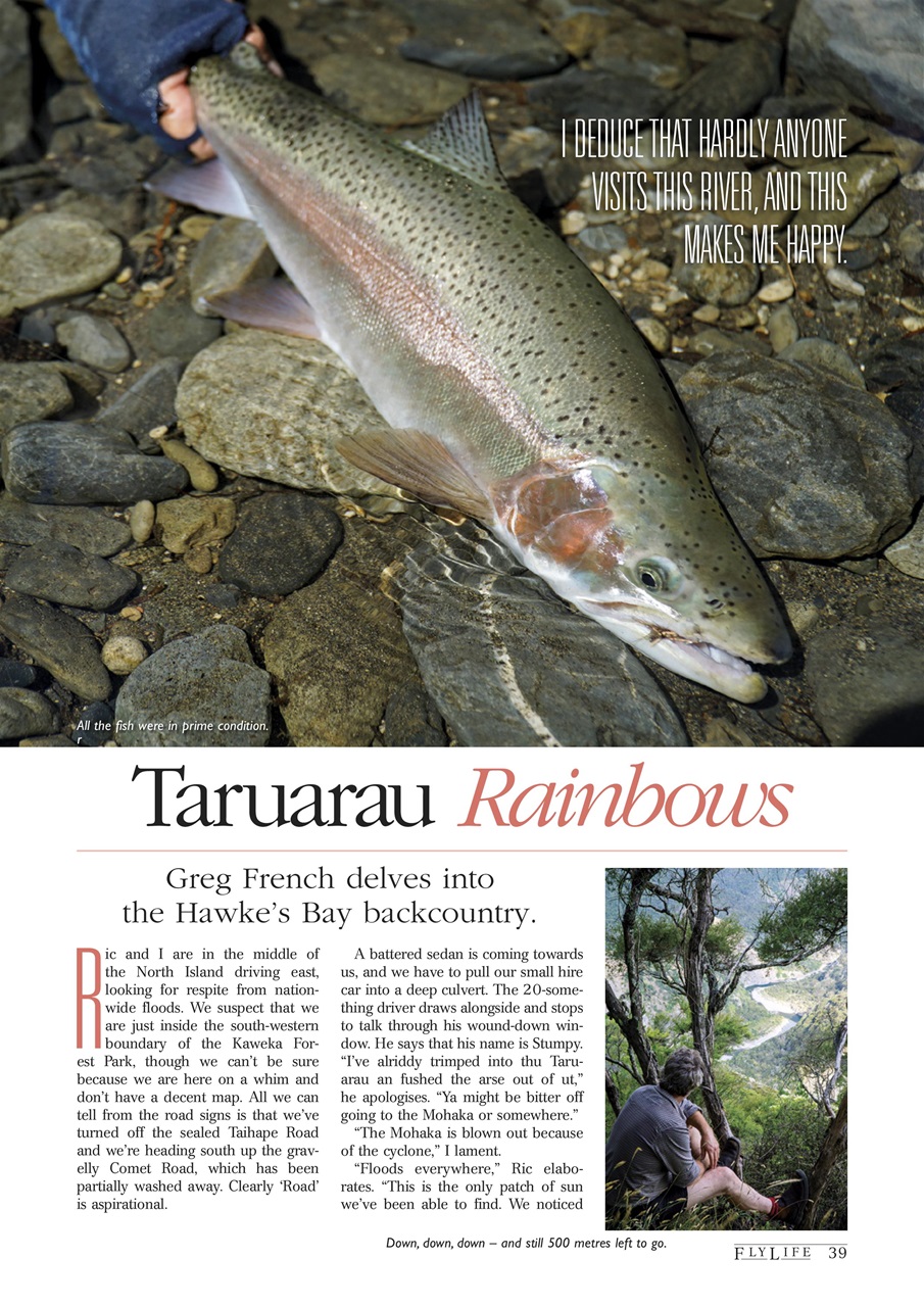 FlyLife Preview Pages