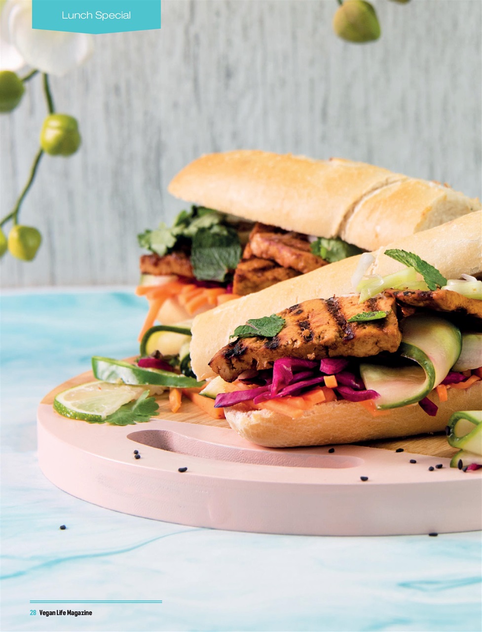 Vegan Life Preview Pages
