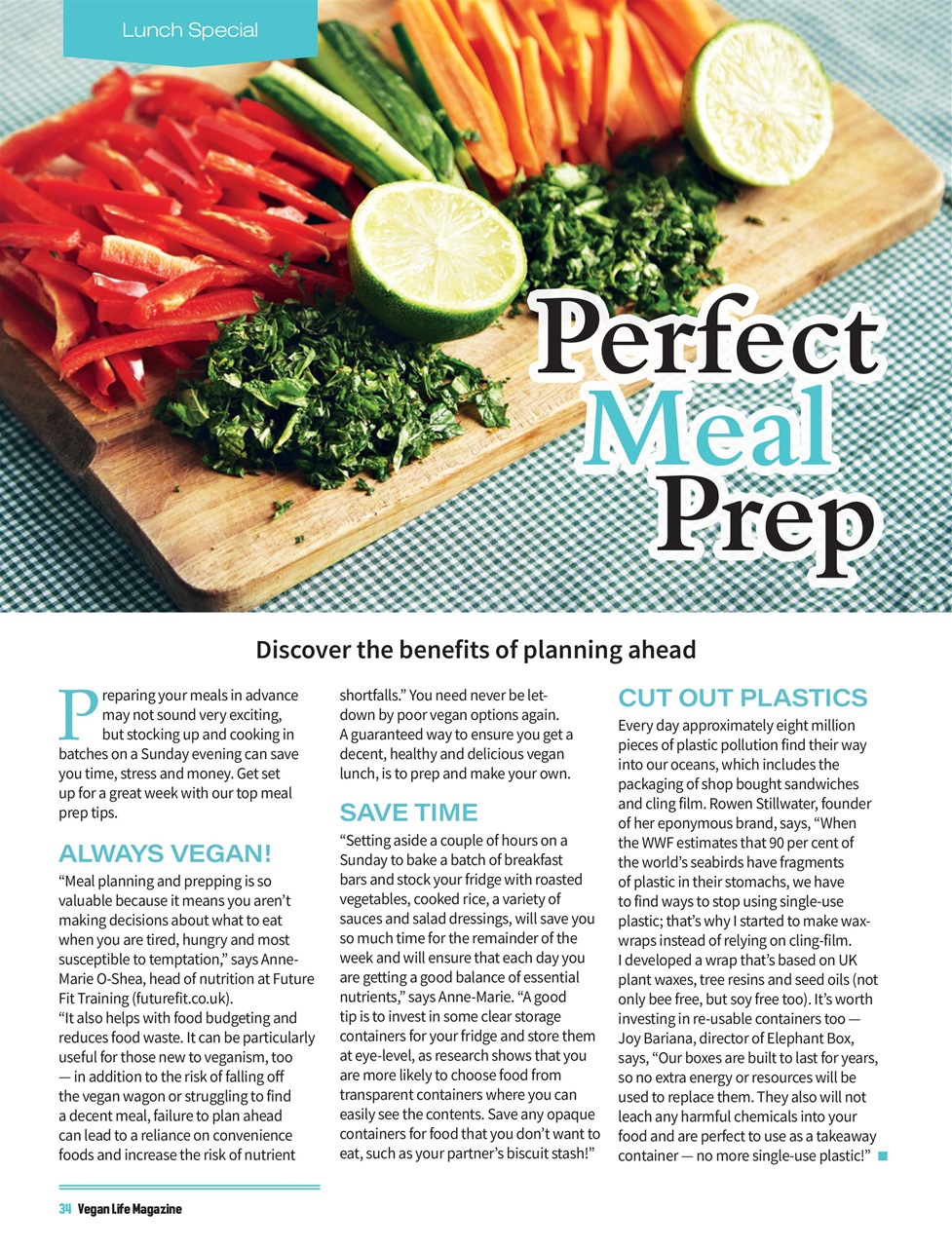 Vegan Life Preview Pages