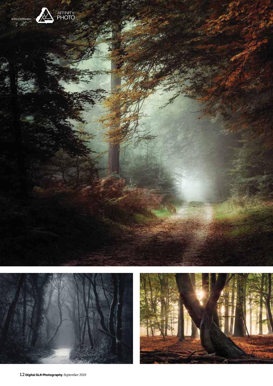 Digital SLR Photography Preview Pages