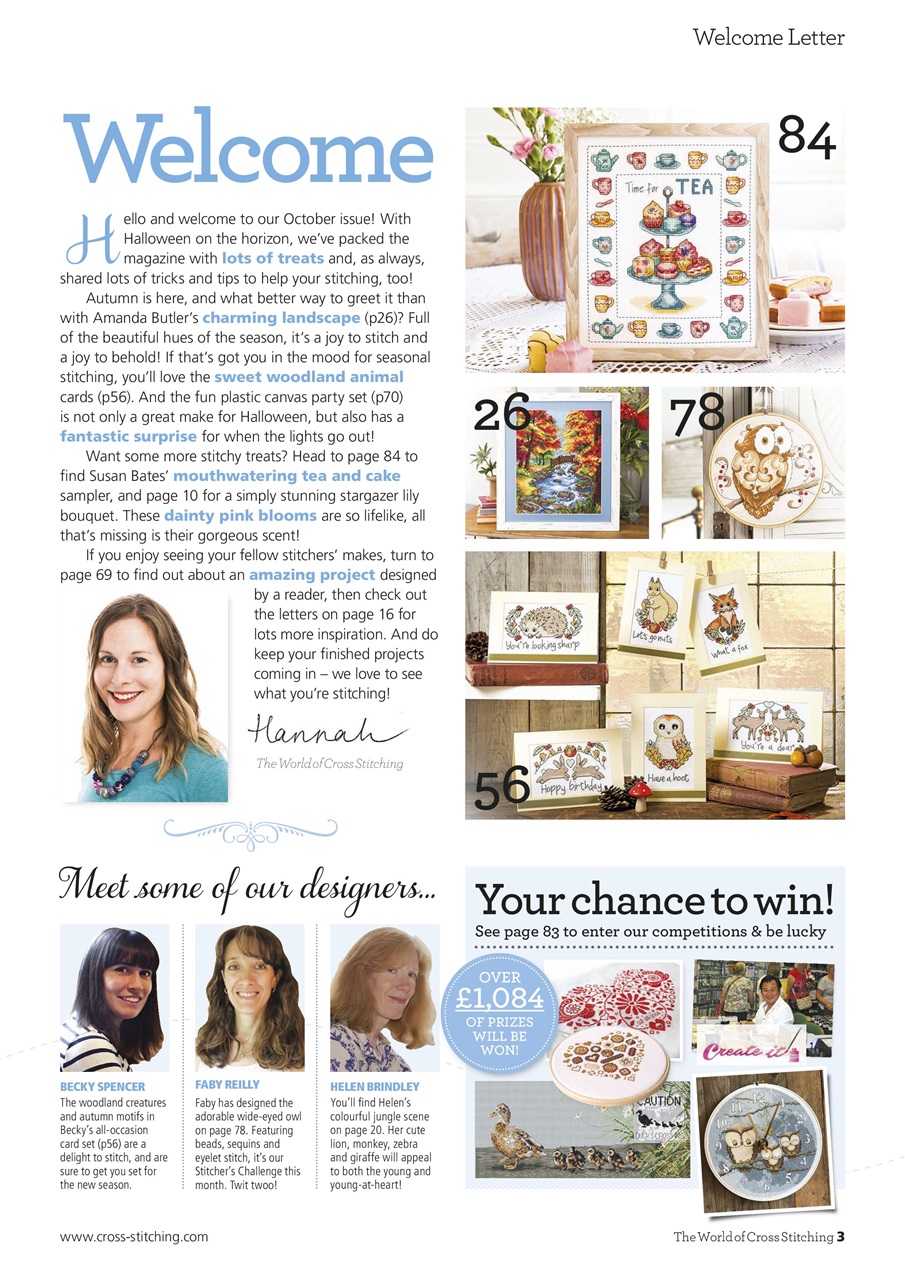 The World of Cross Stitching Preview Pages