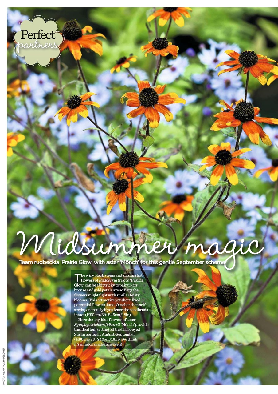 Garden Answers Preview Pages