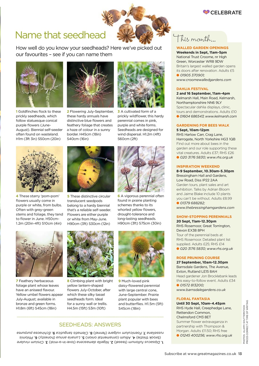 Garden Answers Preview Pages