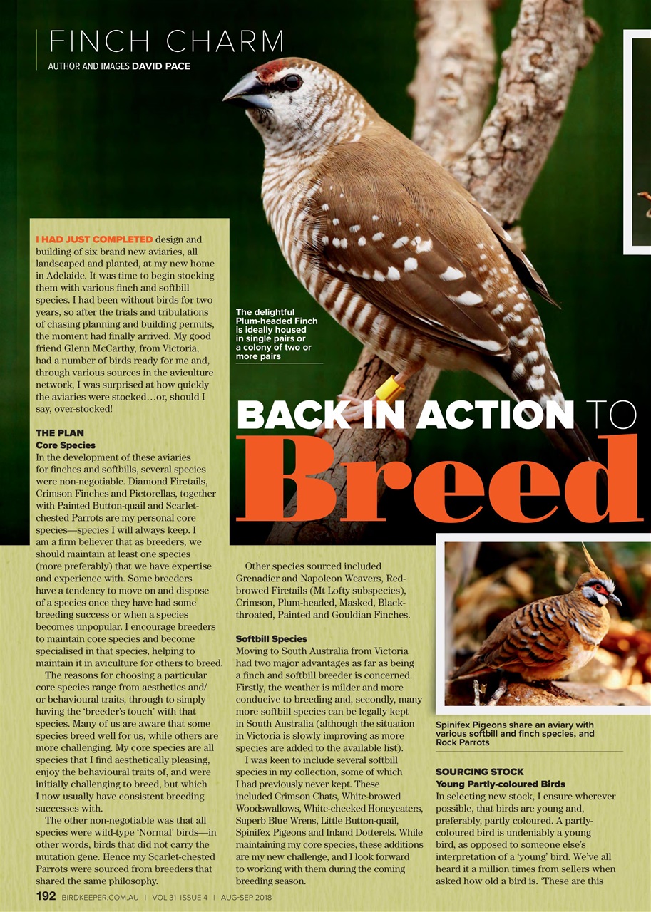 Australian Birdkeeper Magazine Preview Pages