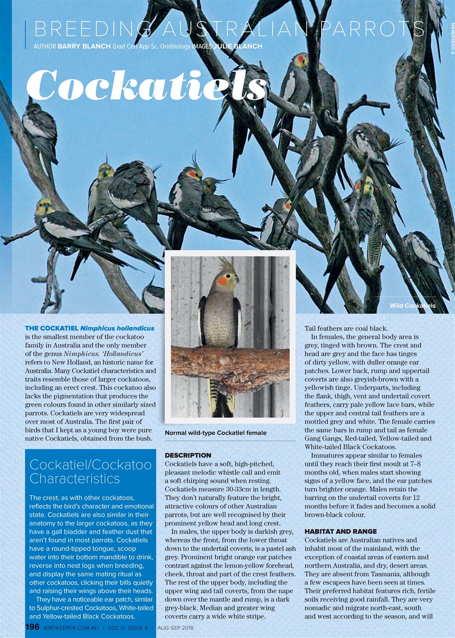 Australian Birdkeeper Magazine Preview Pages