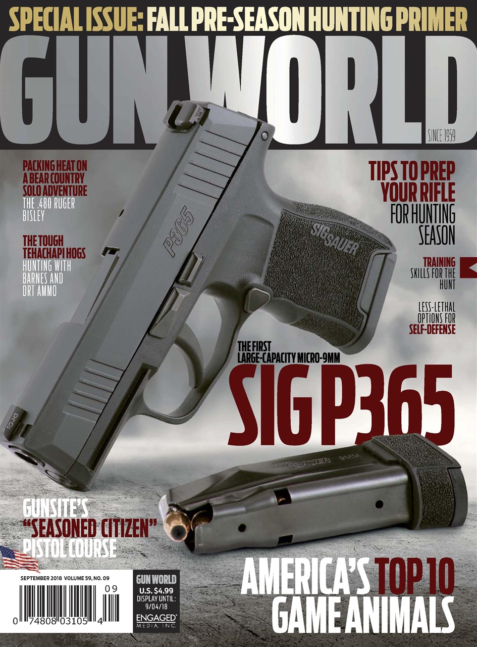 Gun World Preview Pages
