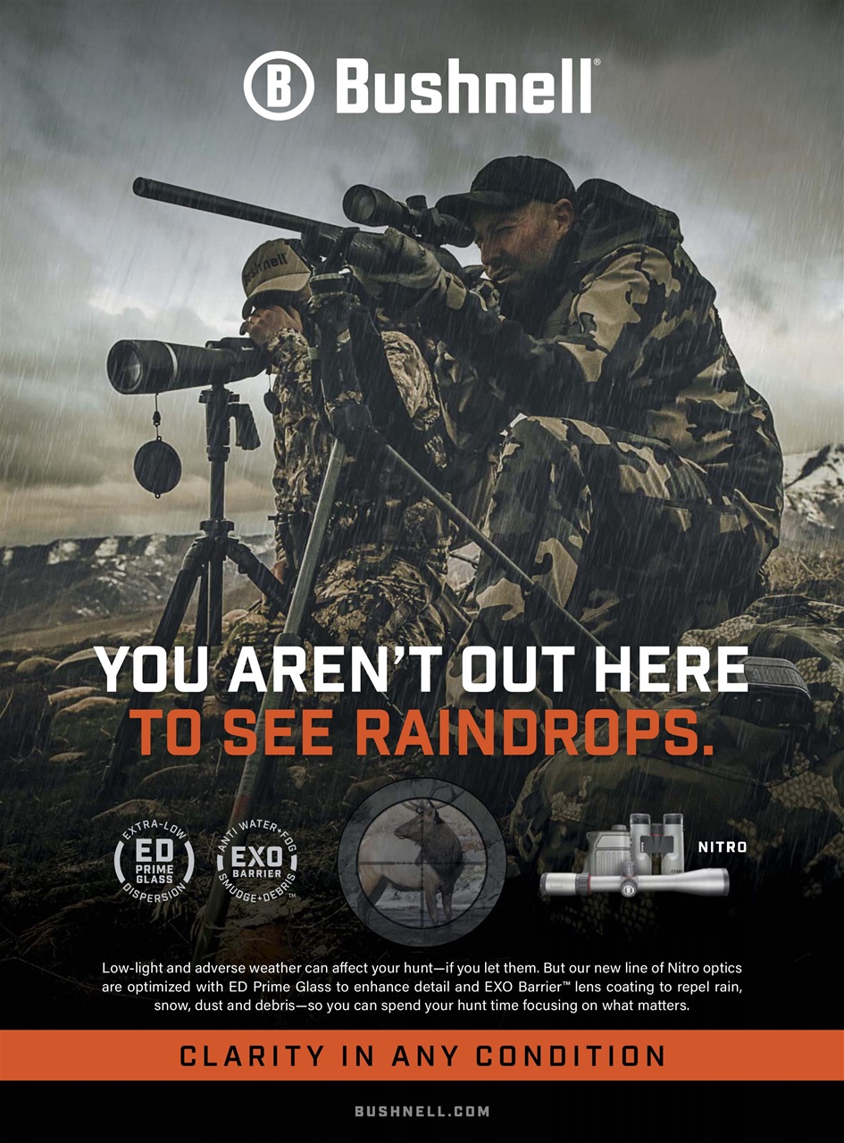 Gun World Preview Pages