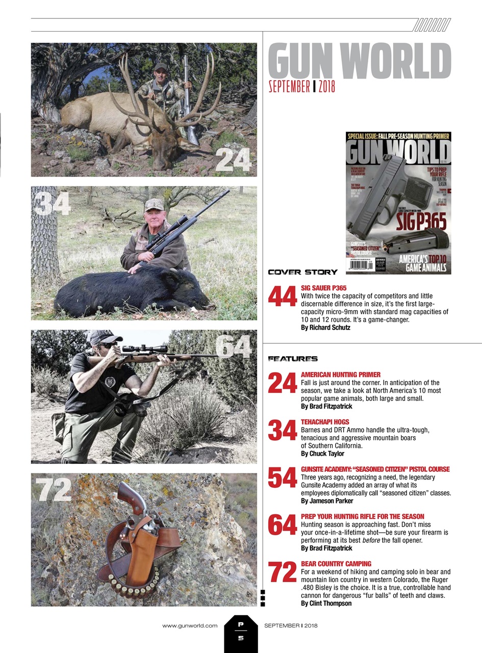 Gun World Preview Pages