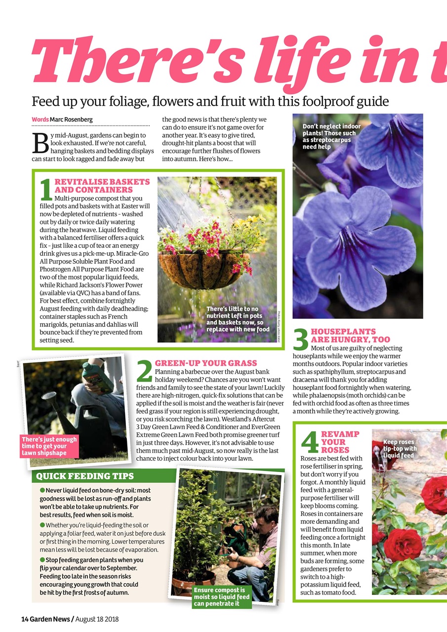 Garden News Preview Pages