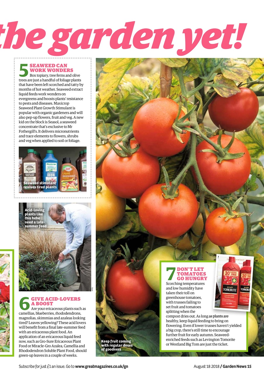 Garden News Preview Pages