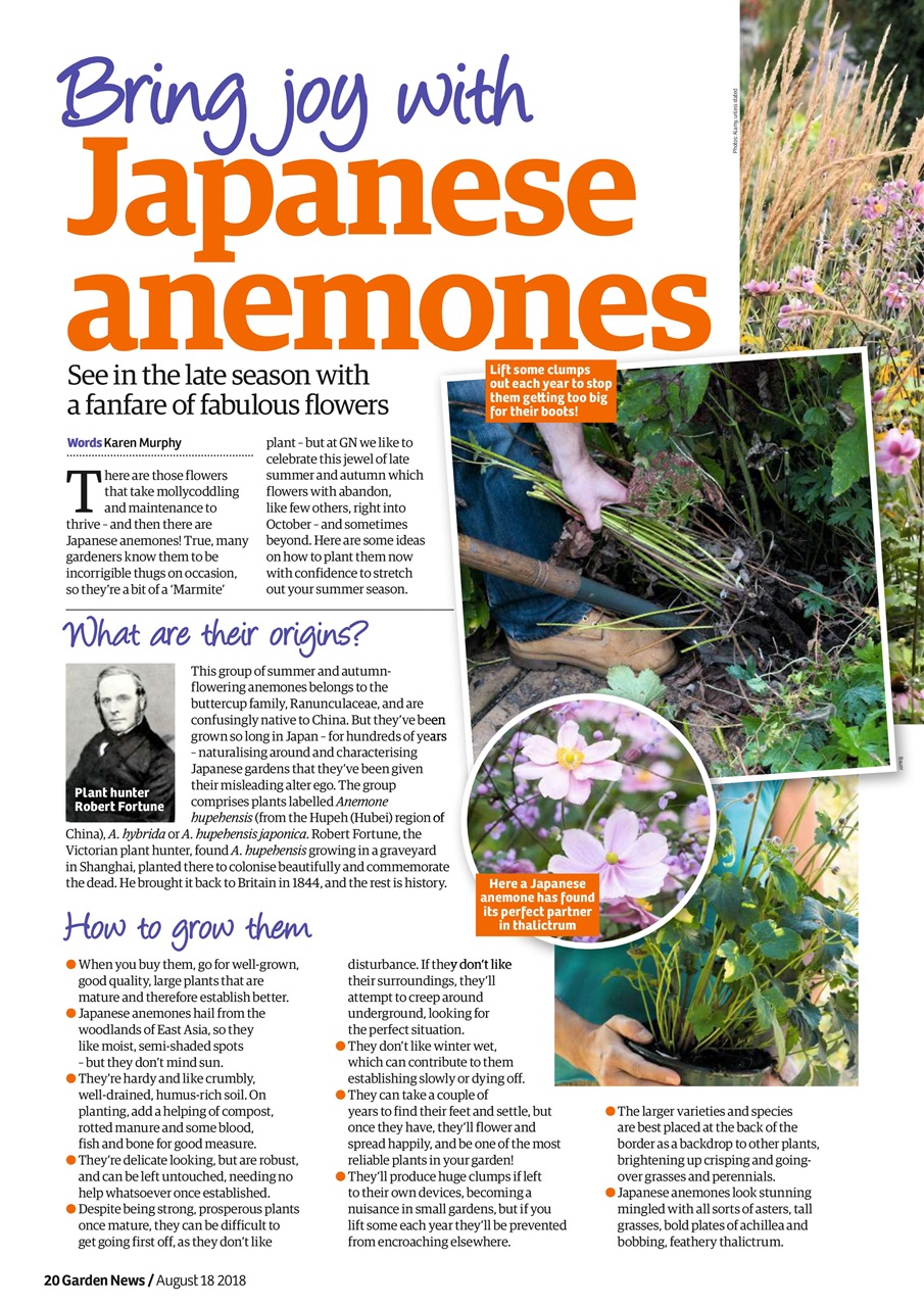 Garden News Preview Pages