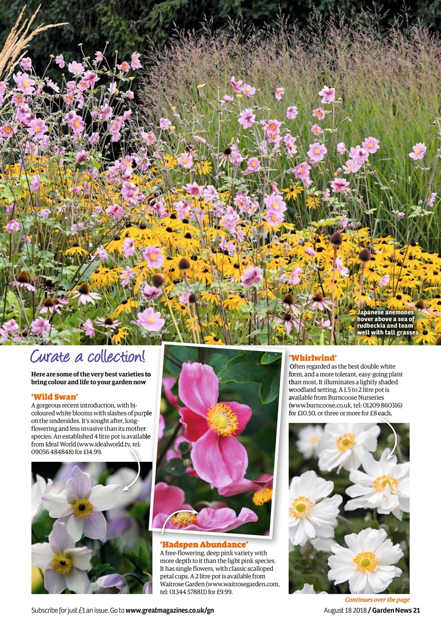Garden News Preview Pages