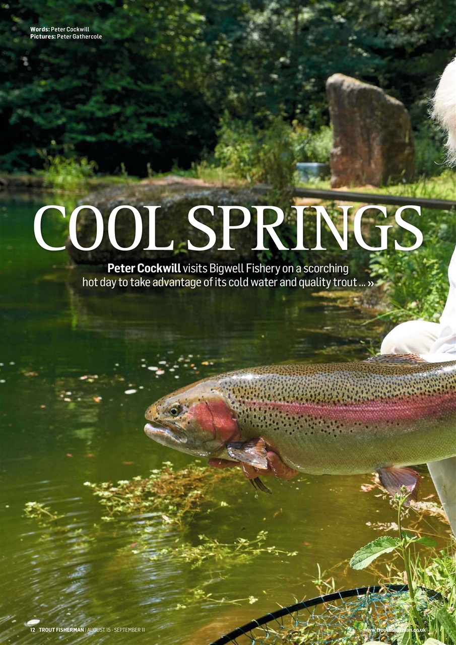 Trout Fisherman Preview Pages
