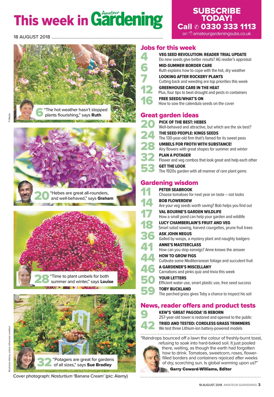Amateur Gardening Preview Pages