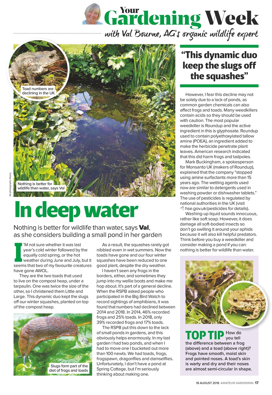 Amateur Gardening Preview Pages