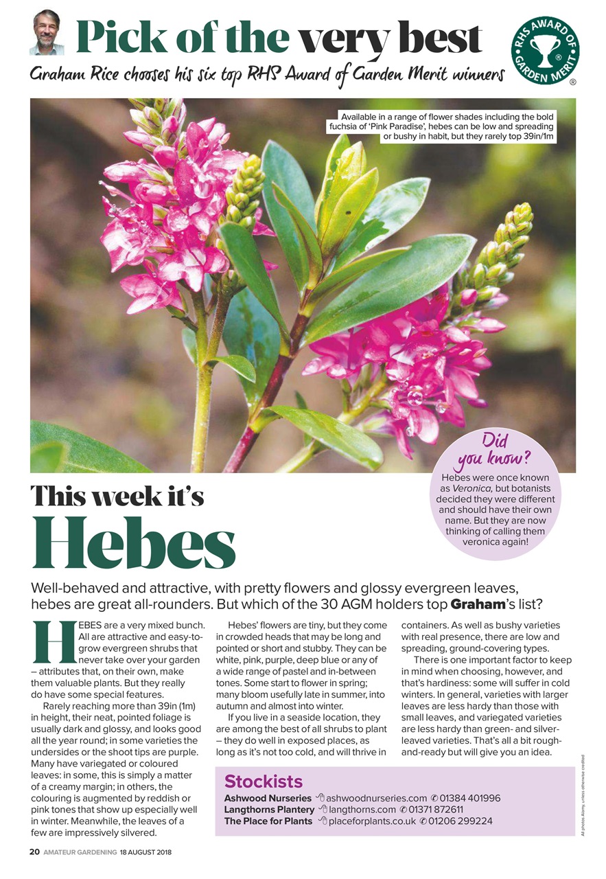 Amateur Gardening Preview Pages