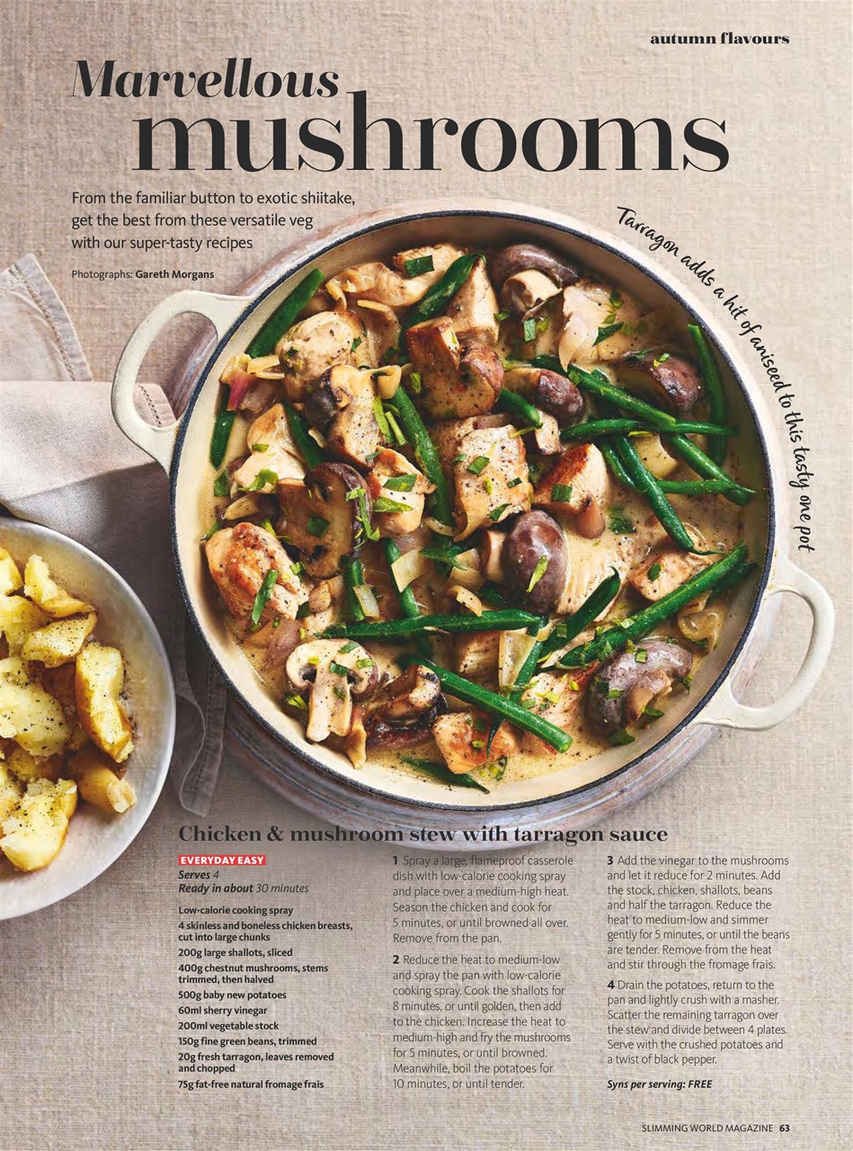 Slimming World Preview Pages