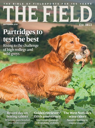 The Field issue 