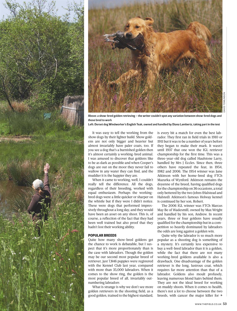 The Field Preview Pages