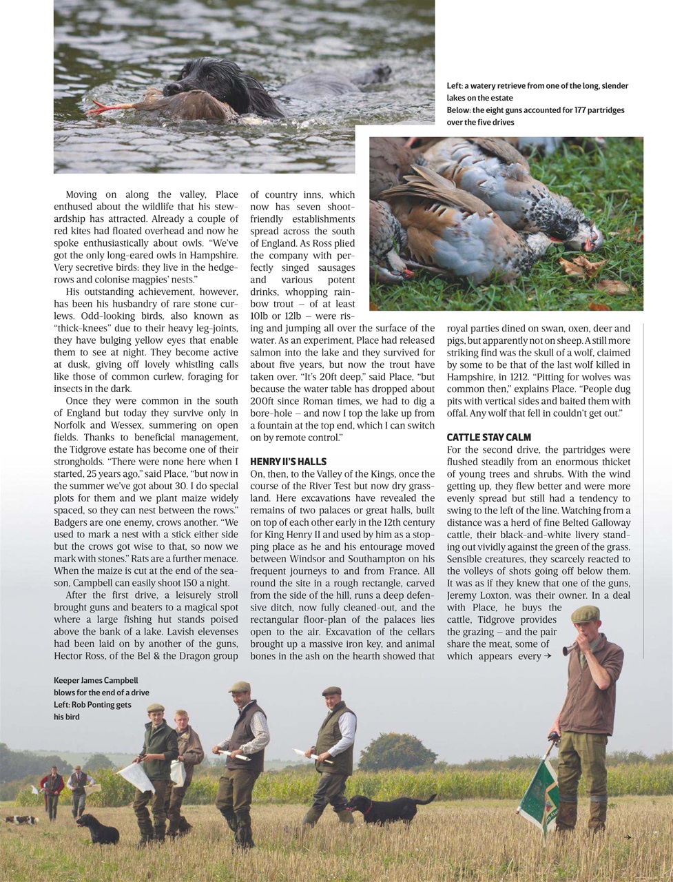 The Field Preview Pages