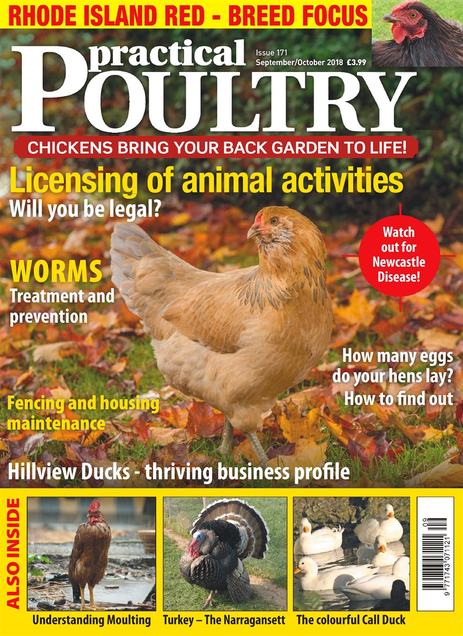 Practical Poultry Preview Pages
