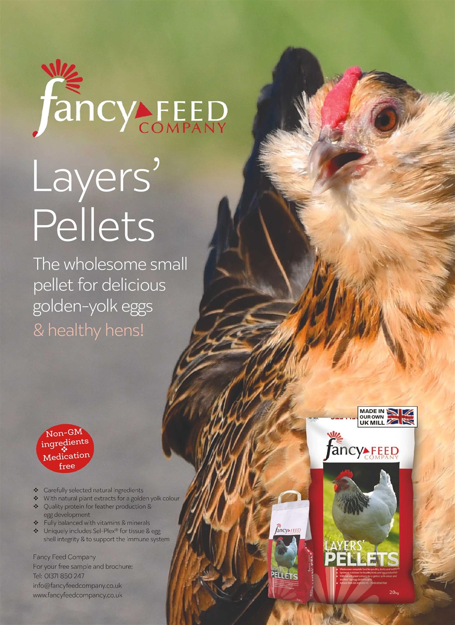 Practical Poultry Preview Pages