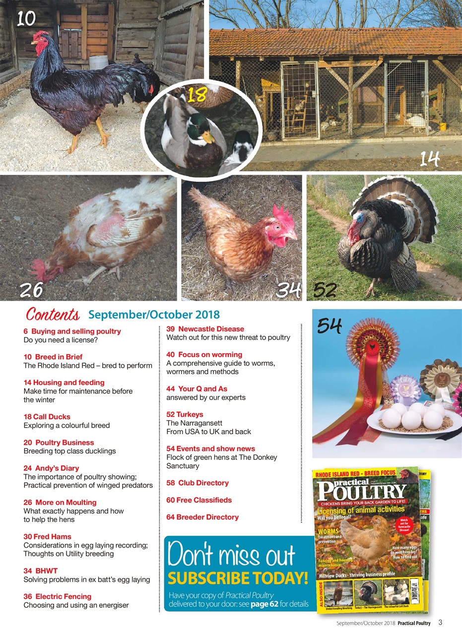 Practical Poultry Preview Pages