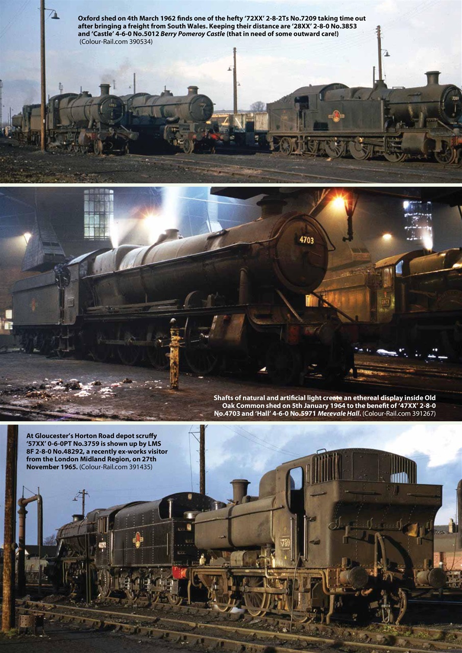 Backtrack Preview Pages