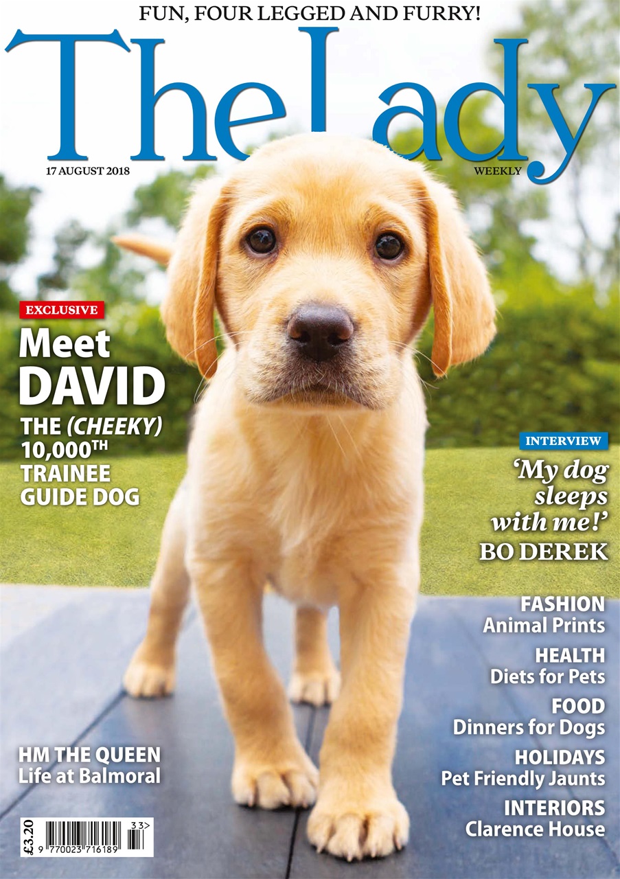 The Lady Preview Pages