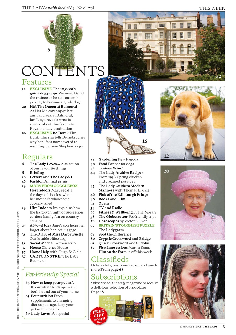 The Lady Preview Pages