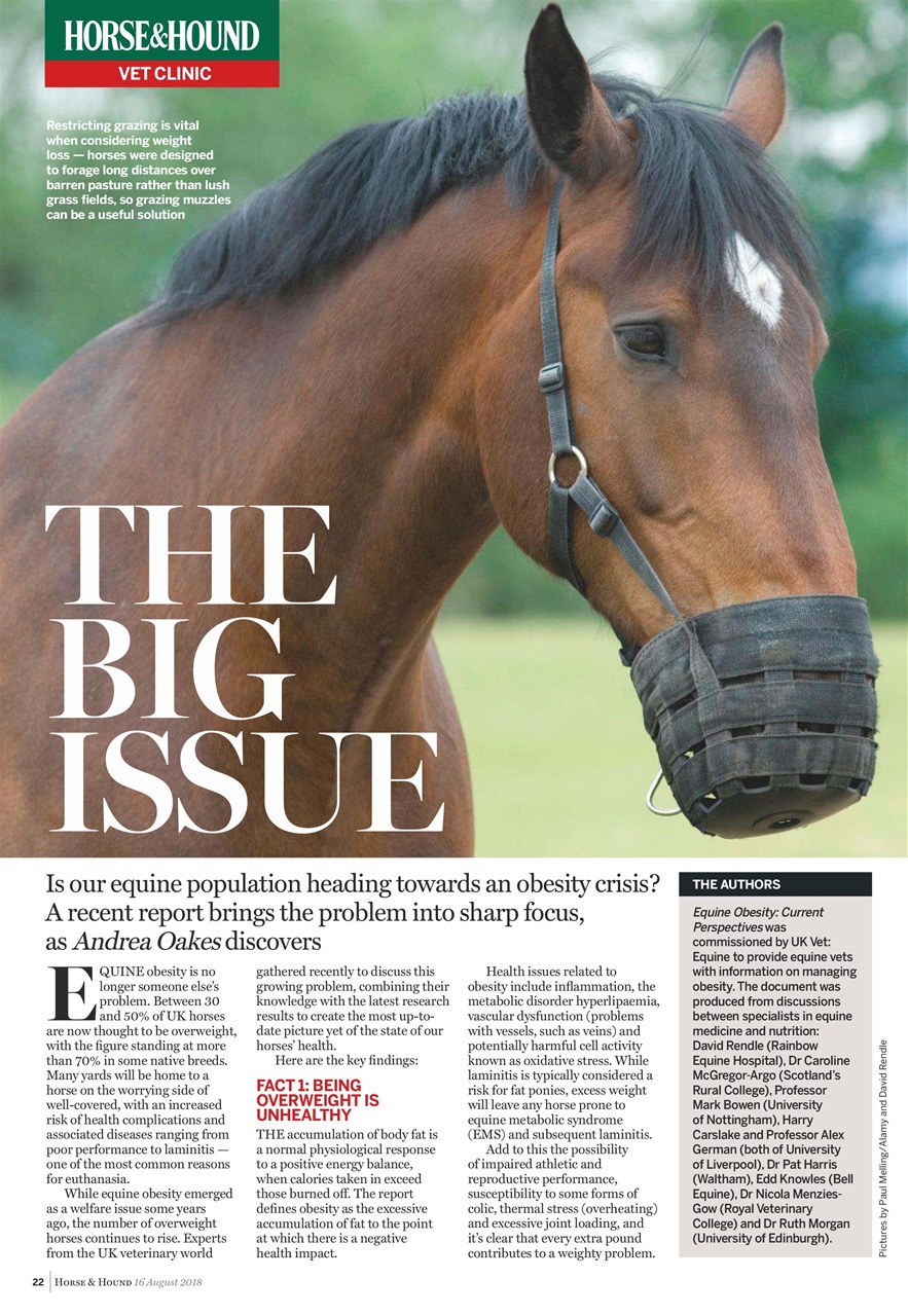 Horse & Hound Preview Pages