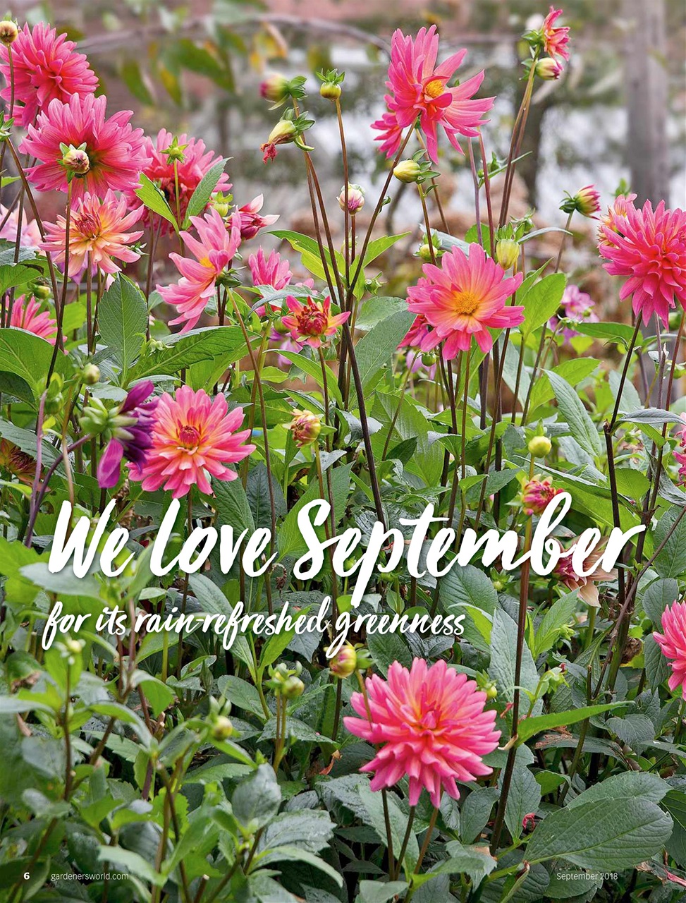 BBC Gardeners’ World Magazine Preview Pages