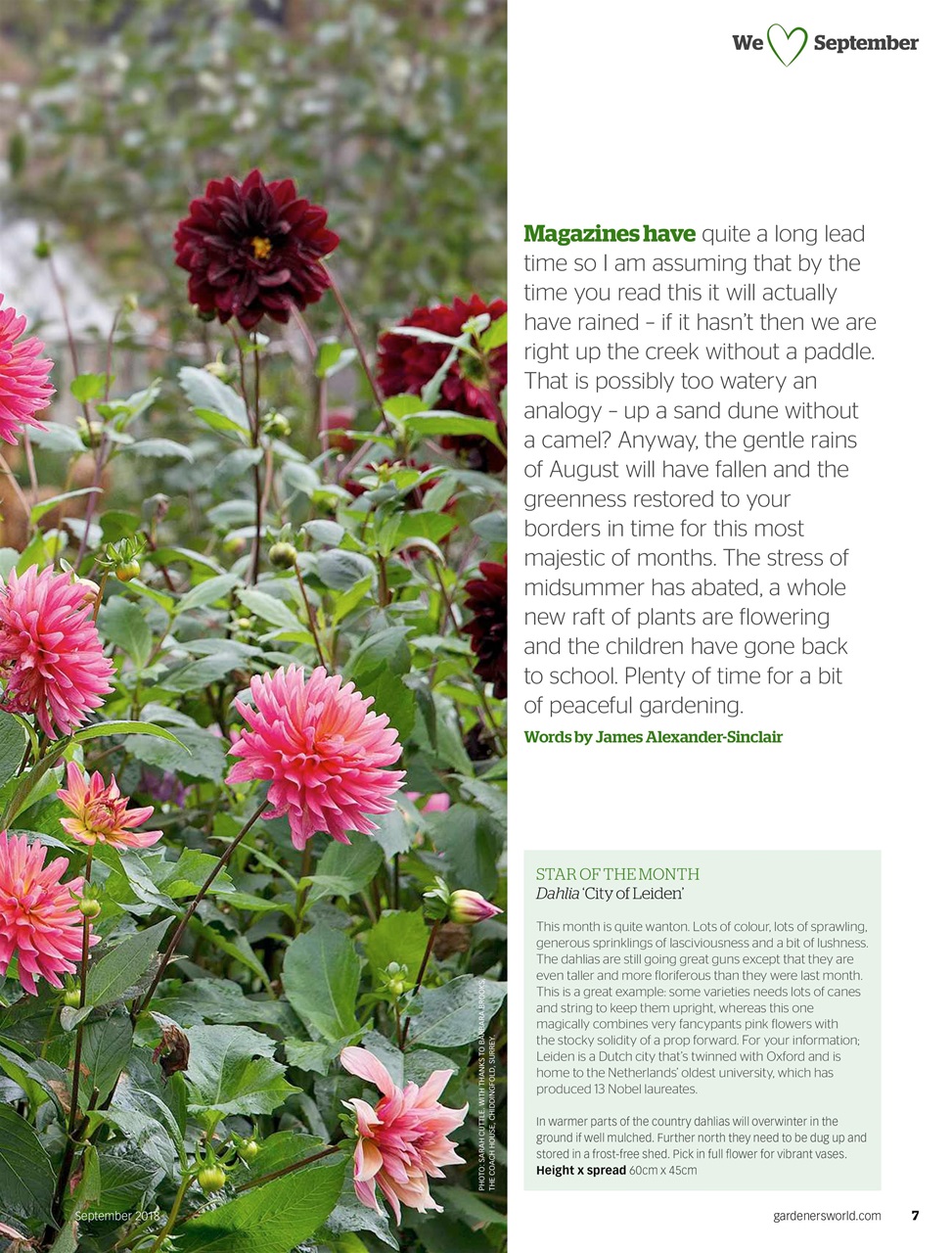 BBC Gardeners’ World Magazine Preview Pages
