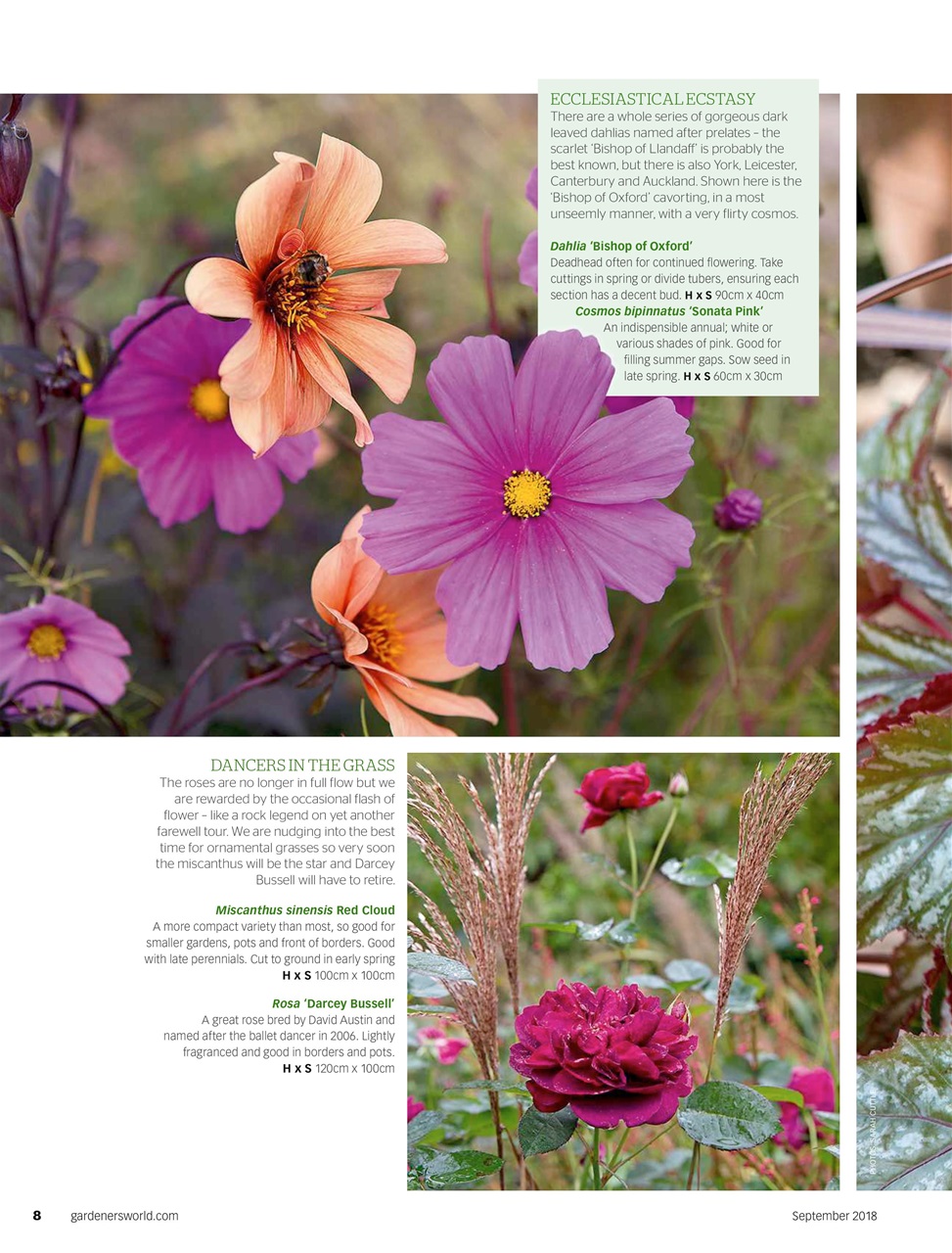 BBC Gardeners’ World Magazine Preview Pages