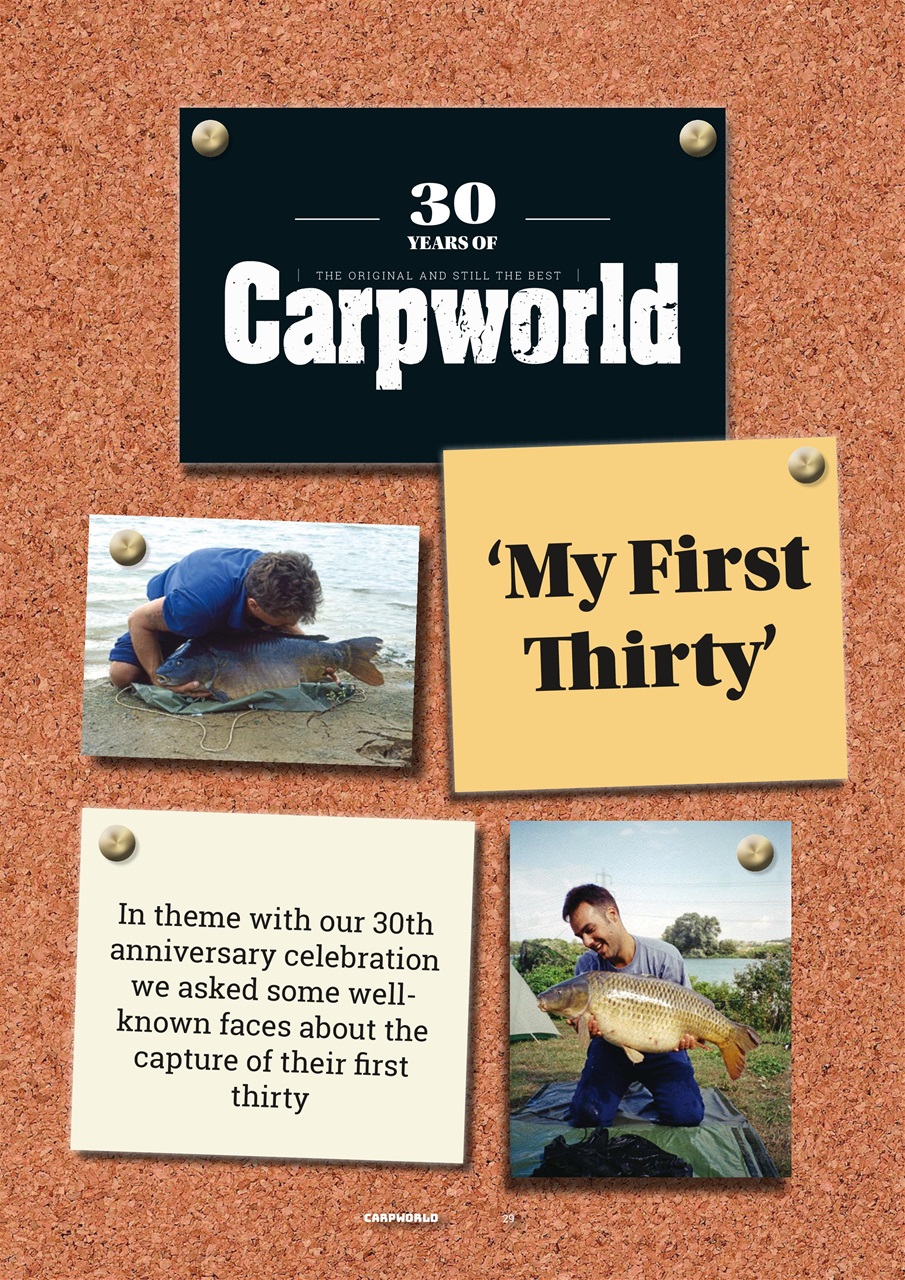 Carpworld Preview Pages