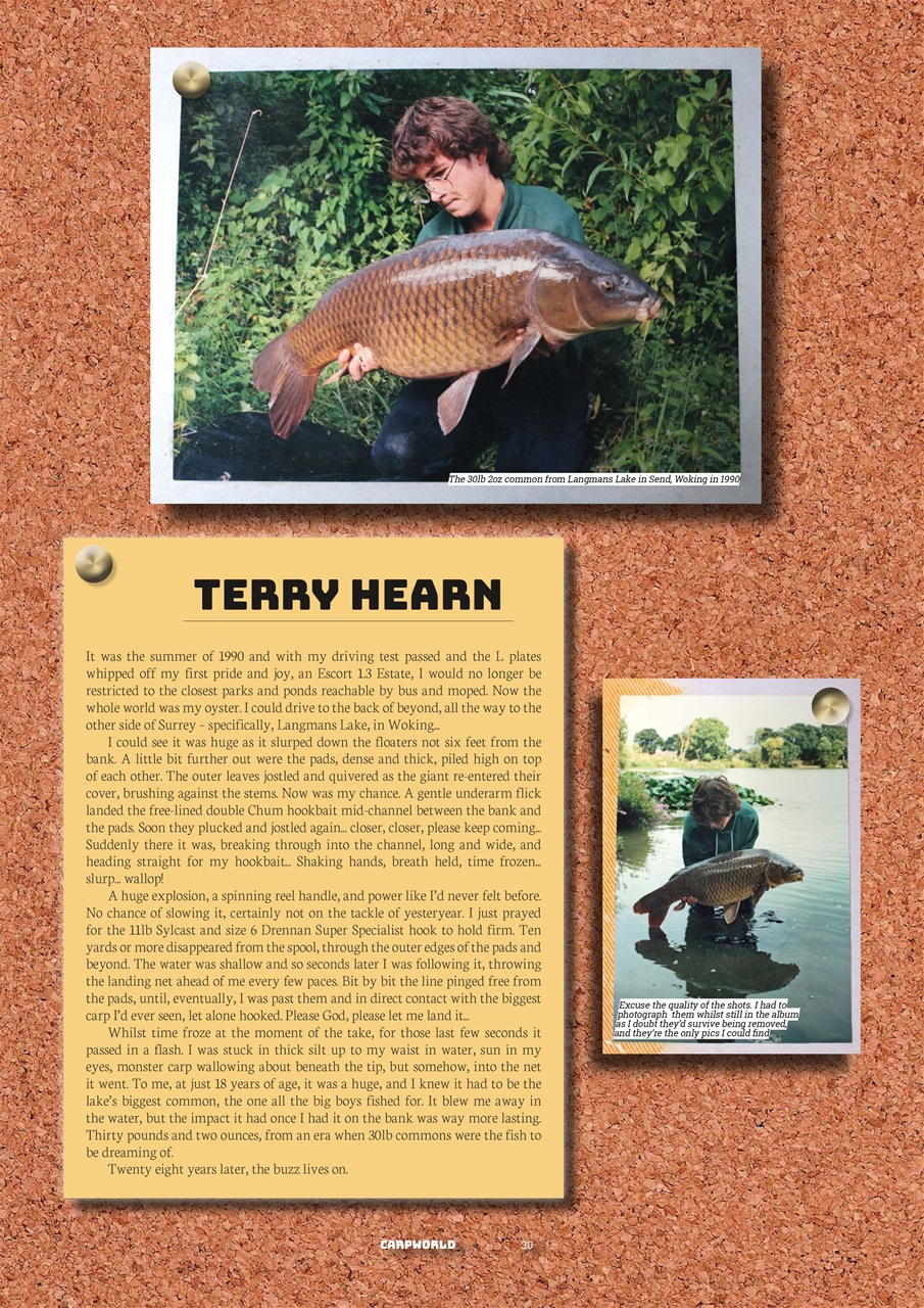 Carpworld Preview Pages