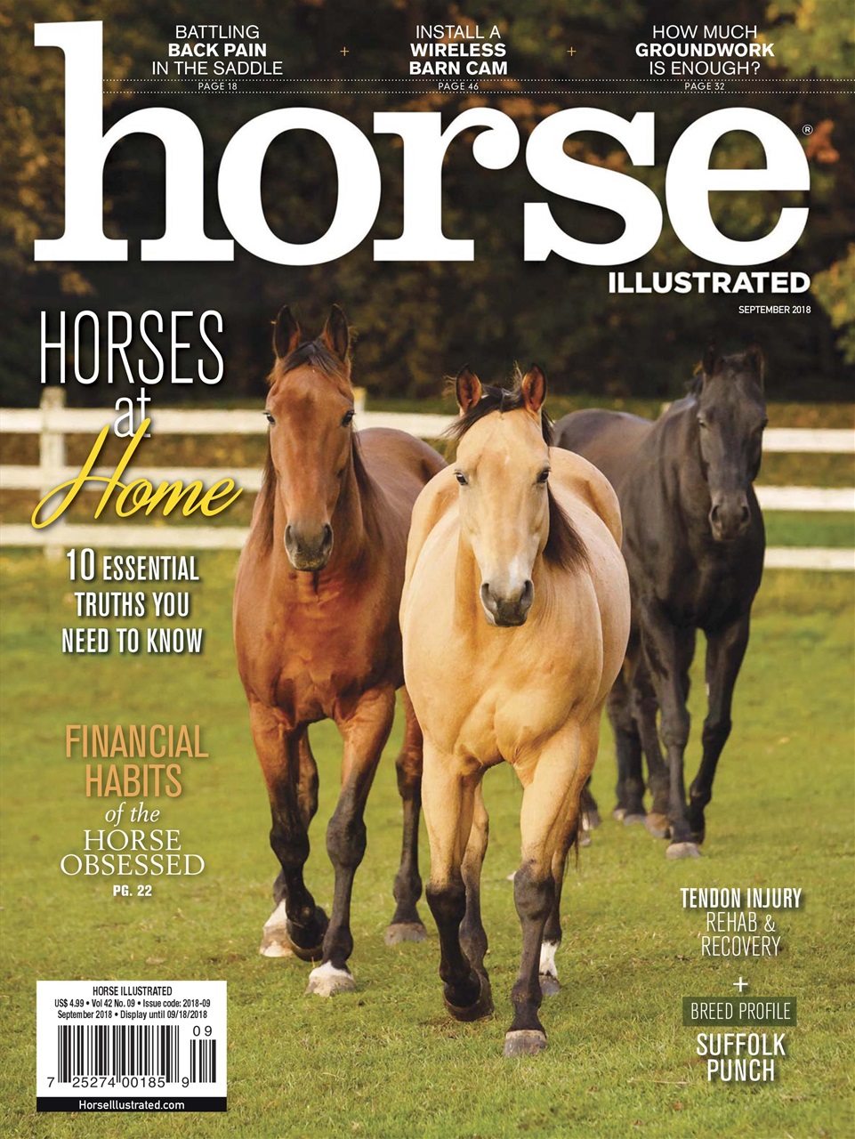 Horse Illustrated Magazine Preview Pages