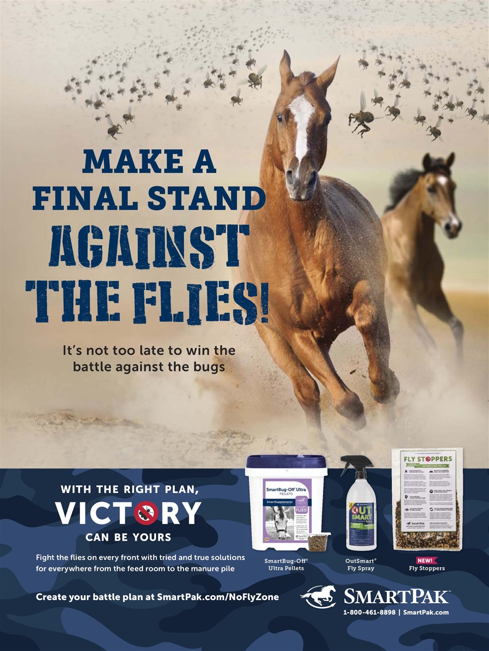 Horse Illustrated Magazine Preview Pages