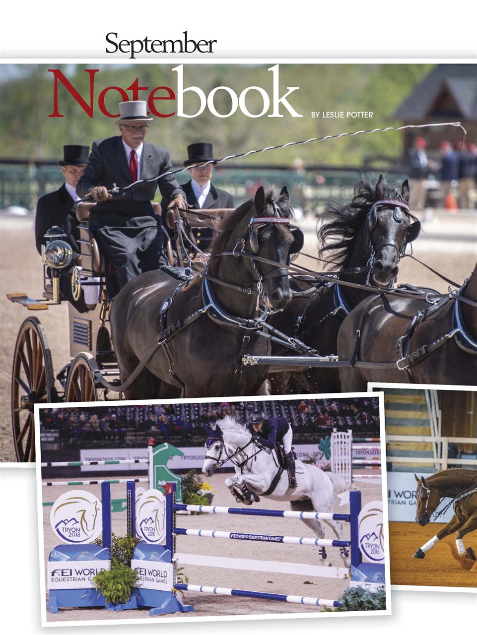 Horse Illustrated Magazine Preview Pages