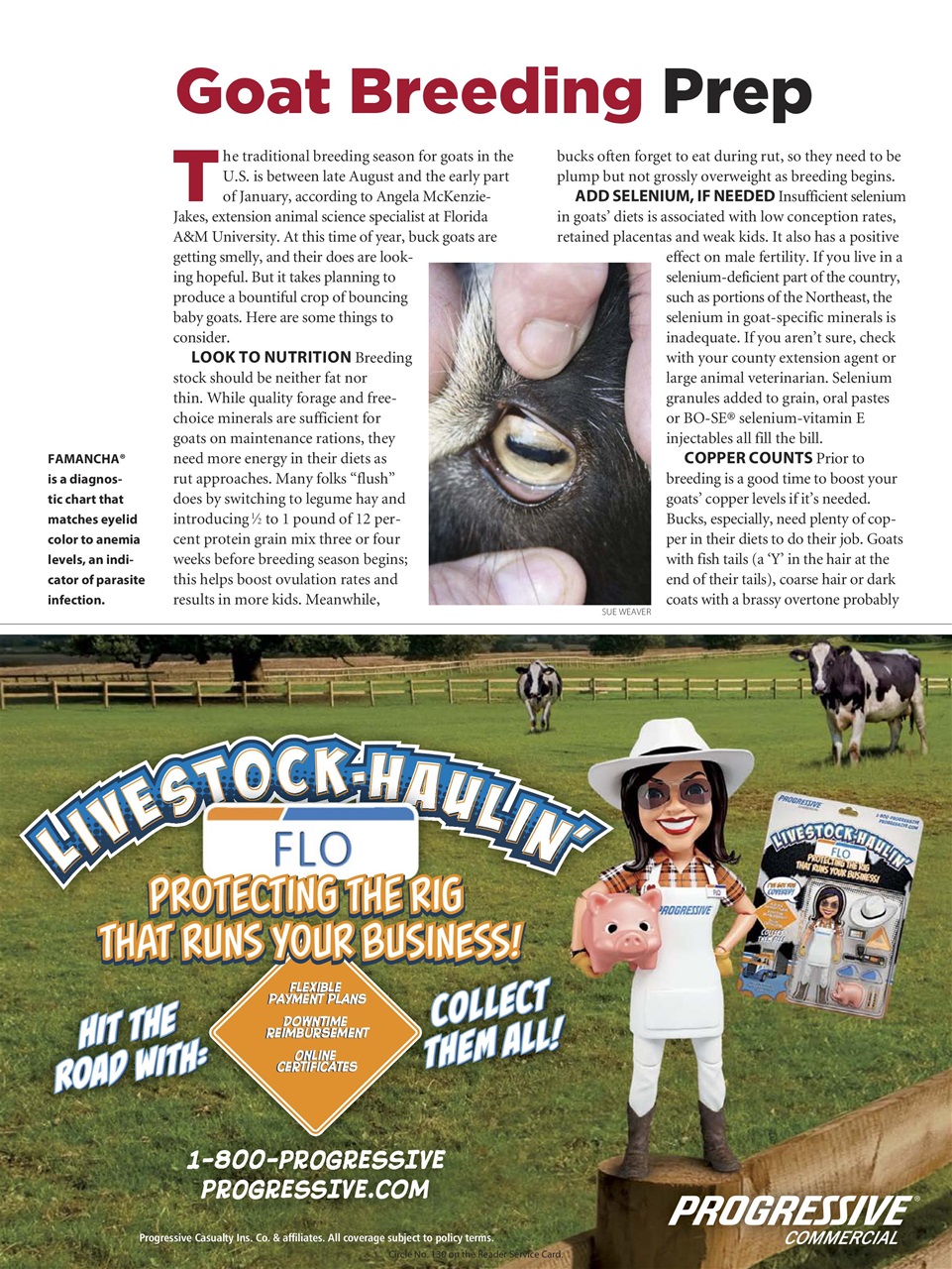 Hobby Farms Magazine Preview Pages