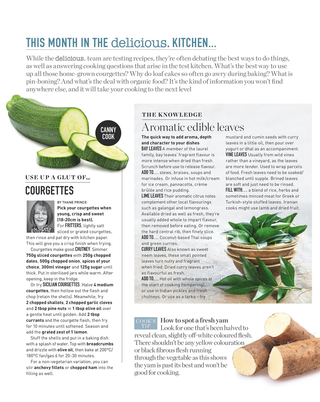 delicious. Magazine Preview Pages