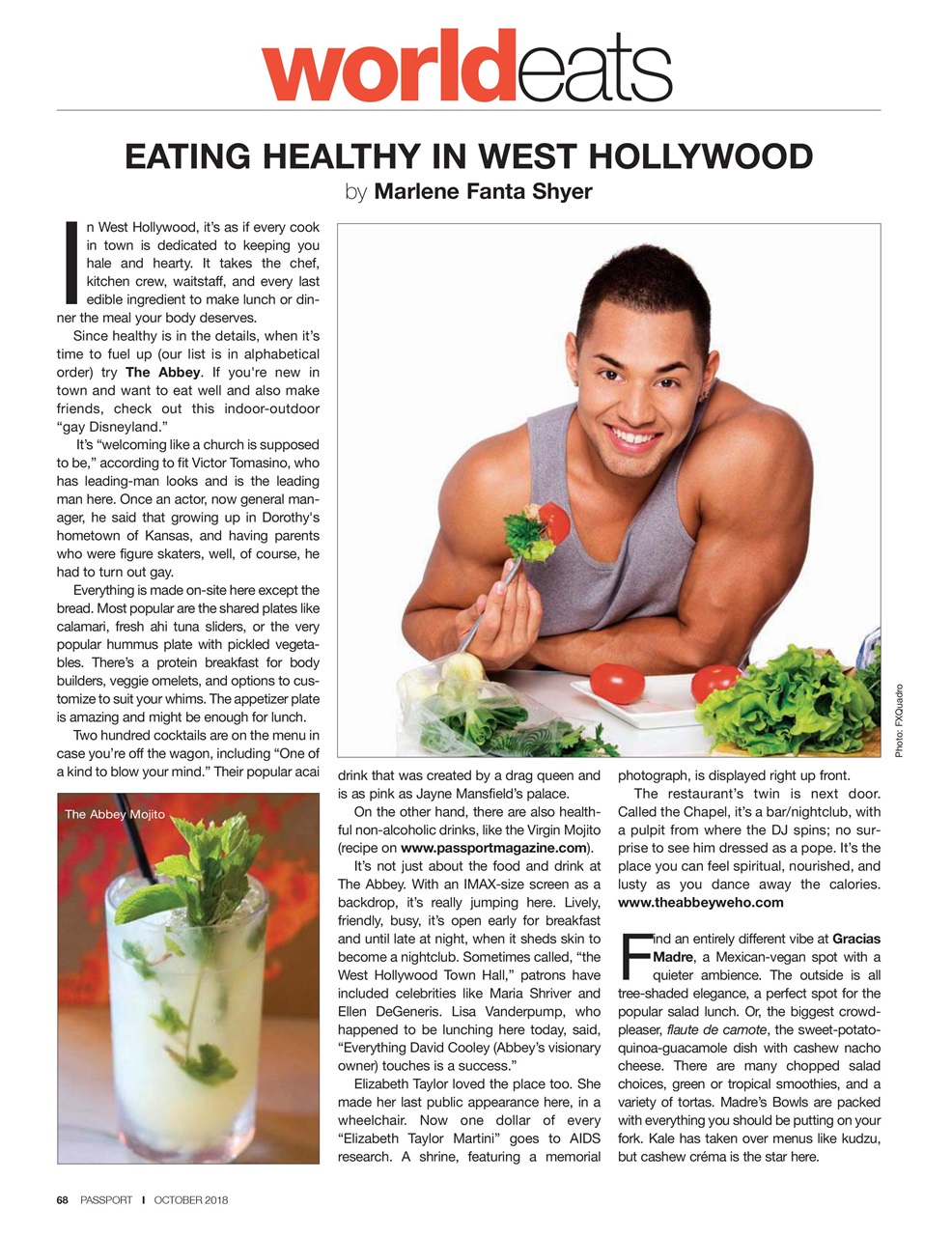 Passport Preview Pages