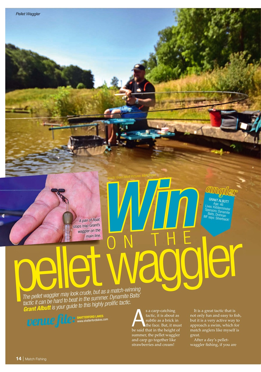 Match Fishing Preview Pages